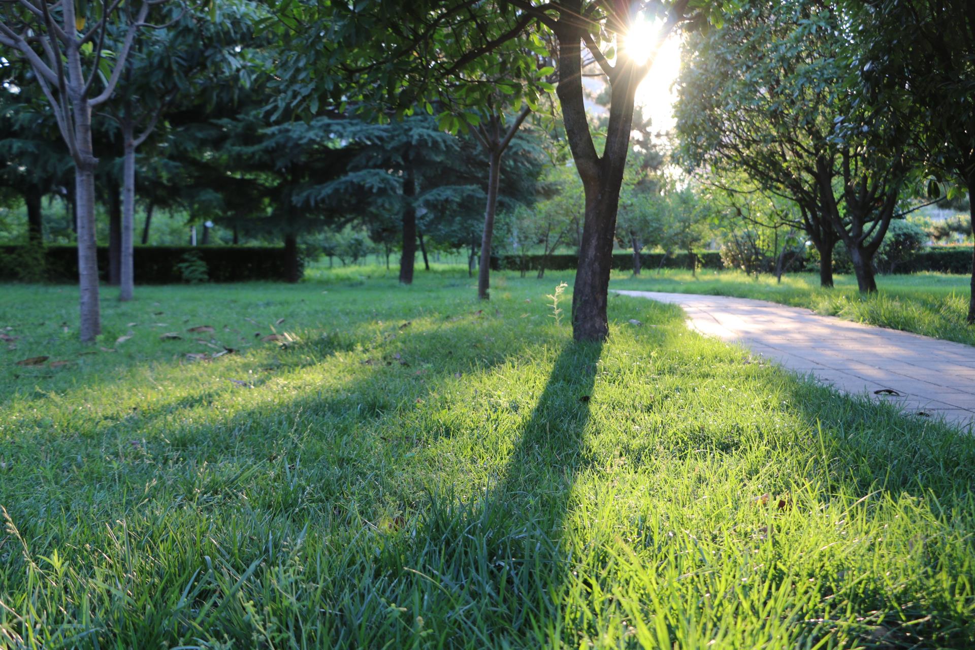 鄭州短視頻拍(pāi)攝時需要掌握幾種拍(pāi)攝小(xiǎo)技巧