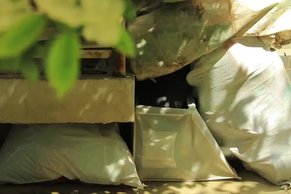 世界地(dì)球日